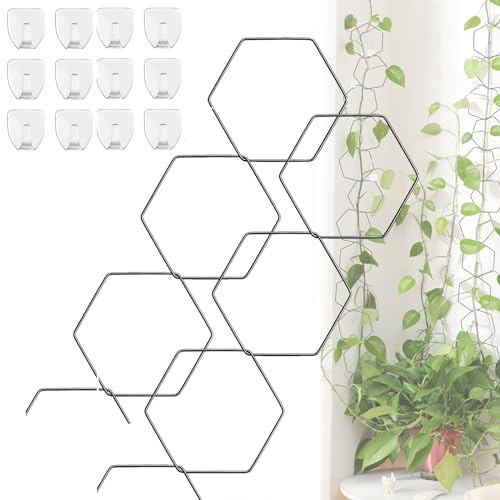 Rankgitter, Tomaten Rankhilfe Pflanzenstütze Rankhilfe Pflanzengitter Blumenstütze Rankhilfen für Kletterpflanzen Rankhilfe Tomaten Rankhilfe Zimmerpflanzen Pflanzenstütze für Pfingstrosen (2sets)