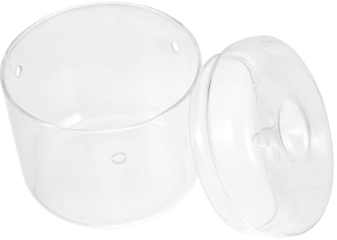 YARNOW Pflanzenterrarium Aus Glas Terrariumglas Kleines Terrarium Für Moos Und Pflanzen Mikrolandschafts-pflanzflasche Tisch-dekorationsbehälter Glaspflanzenhalter Für Wohnzimmer Und Büro