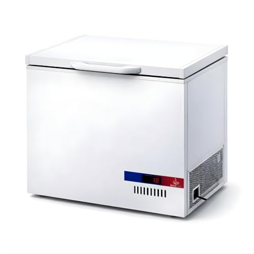 Gasfrit Congélateur professionnel faible bruit - Installation gratuite - Classe énergétique B - 150 à 450 litres - Utilisation hôtellerie et commerce