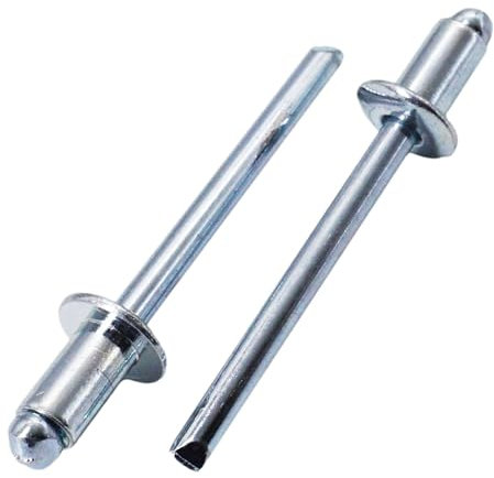 SKIR'CO 100 rivetti ciechi in acciaio zincato 5,0 x 10 mm, mandrino in acciaio, rivetti a testa bombata, DIN 7337