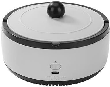 LUNCHS Cendrier Anti Odeur avec Couvercle Fonctionnement Simple Peut Purifier L'air Pratique Et Portable pour Une Utilisation dans Les Automobiles(Gray)