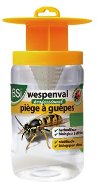 Wespenval Professional!