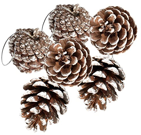 24 PCS Pine Cones for Christmas Tree Snowflake Natural Pinecones Ornament with String Pendant Crafts for Xmas Party Home Decor Fall Winter Holiday Christmas Tree Decoration (24)
