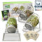 Green SEEDS Bocal à germes 3 Set de 1000ml avec Couvercle à Grille en Acier Inoxydable de Haute qualité, Support, Bol en céramique + ABC des germes Gratuit [E-Book]