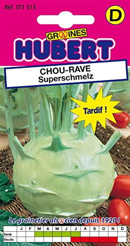 Graines de Chou-Rave Superschmelz - 1 gramme