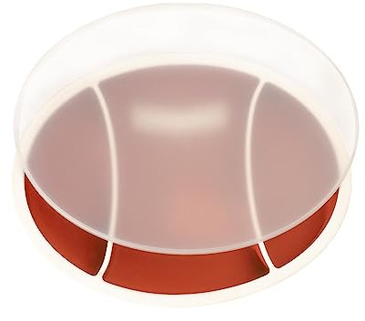 per bambini in silicone, piastra di aspirazione a forma di palla da rugby per bambini, per l'auto-nutrizione, antiscivolo per bambini, ragazzi, bambini, ragazze Hongjingda