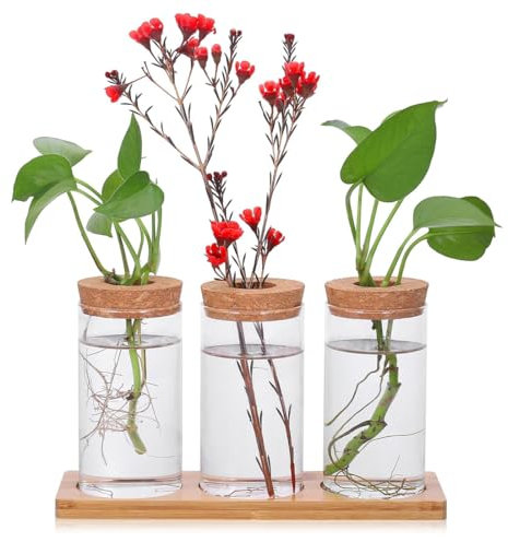 YOYEAH Stazione di Propagazione Vetro per Piante di Propagazione 3 Vasi per Piante Idroponiche Vetro per Vasi da Fiori per la Decorazione della Tavola e della Casa