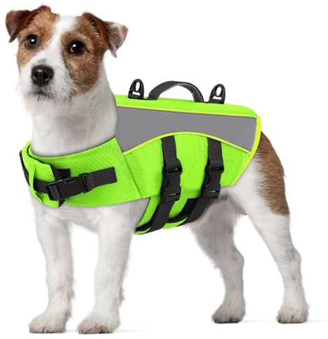 CITÉTOILE Hundeschwimmweste mit Reflektorstreifen & Leinenöse Grün S | Verstellbar Rettungsweste für Klein Groß Hunde, Hunderettungsweste für Schwimmen Boot Wassersport, Schwimmweste mit Auftrieb