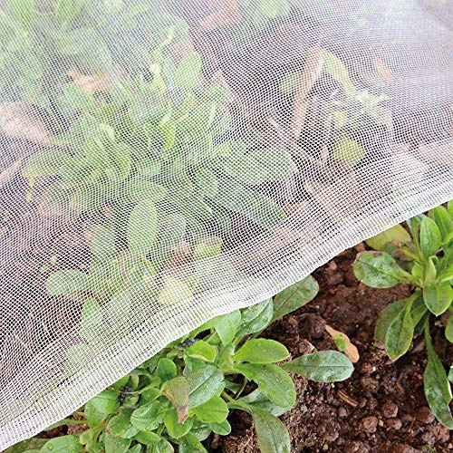 Garden Tailor Gemüseschutznetz Pflanzenschutznetz 1.2x5m Kulturschutznetz | Feinmaschig Gemüsenetz Insektenschutznetz mit UV-Schutz, Vögeln Obst Schädlings Kirschfruchtfliege Kohlfliegen für Gemüse