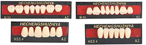 Kunstharzzähne Zahnprothese Heißgehärtet Ober-Unterteil, Set | Gehärtete Polymerisation verbessert Härte und Abriebfestigkeit, Harzmodell für Zahnarztpraxis Dentallabor