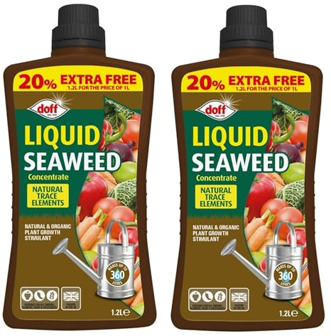 2 Bottles Of Liquid Seaweed Plant Feed Concentrate - All Purpose Plant Food Fertiliser 1.2L Makes 360L - Natural Plant Growth Stimulant - Organic Plant Food.