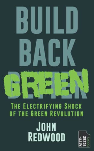 Build Back Green: The Electrifying Shock of the Green Revolution (Bite-Sized Environment Books)