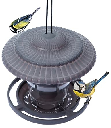Bseical Bird Feeders Hanging Squirrel Proof, Proof Feeder with Tray, Station for Garden Rain Dome, Mealworms Small Wild Birds Only (Gray), 19cm×19cm×18.5cm