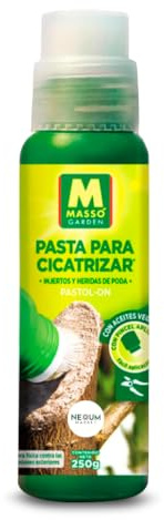 Nexum Market Pasta Cicatrizante Poda de 250gr | Pincel Integrado | Pasta Cicatrizante para Árboles y Arbustos | Cicatrizante de Poda, Arboles Profesional | Evita Hongos y Plagas | Protege Injertos