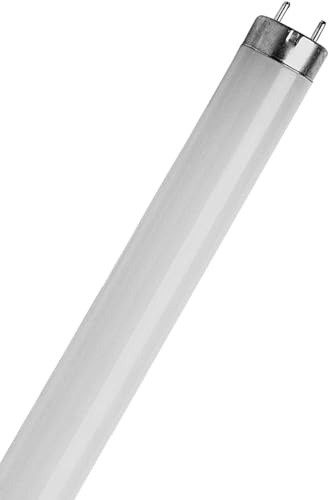 2 x F18w - T8 Triphosphor Fluorescent Tube 2ft 18W - Colour Daylight - 860
