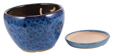 TINEASUR Maceta para Suculentas De Maceta y Sencilla para Suculentas Contenedor De Flores con Bandeja Creativa para Soporte para Flores Oficina Casa Oscuro