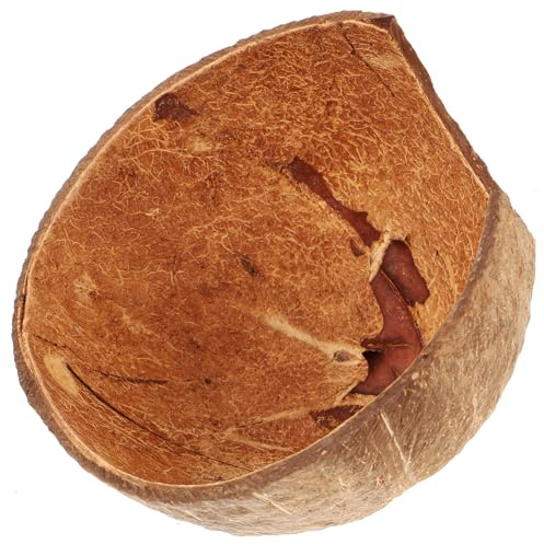 WATIIFUFU Escondite para Reptiles de Cáscara Natural de Palma, Refugio Doméstico para Tortugas y Pequeños Animales, Decoración Práctica para Terrarios, Cueva de Escondite para Acuario,