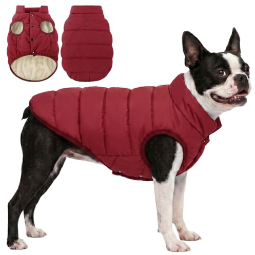 ASENKU Hundemantel Winter L – wasserdichte Hundejacke für mittelgroße Hunde | mit Geschirröffnung, Fleece, Druckknöpfe, Wintermantel & Winterjacken Ideal für Spaziergänge und Spiel im Freien bei Kälte.