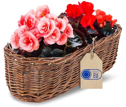 Creative Home Pflanzkasten Weidenblumentopf dunkel mit Folie | Blumenkasten | ähnlich wie Rattan | Balkon Blumentopf 35 x 11 x 11 cm (+/- 2 cm) | Blumentopf Blumenübertopf | Weidenkorb für Topfblumen