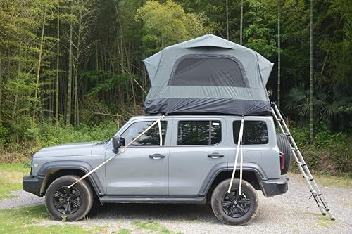 Homgoday Tenda da Tetto Gonfiabile per Auto, 3 Persone, Tessuto Oxford 300D Impermeabile 3000mm, UPF50+, Piastra Base 15 cm, Grigio/Nero