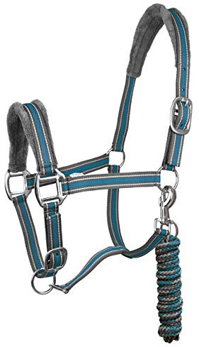 York Halfterset Halfter mit Strick Calipso Halfter & Strick gepolstert 5 Farben (Pony, grau/blau)