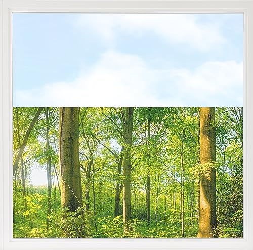 GRAZDesign Fensterfolie Blickdicht Sichtschutz, Sichtschutzfolie Fenster, Glastüren, Duschkabine, Milchglasfolie Bedruckt mit Motiv Wald 100x57cm