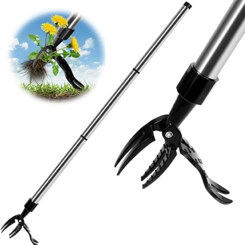 Kozloskyi Extractor de malas hierbas desmontable, extractor de malezas de pie de mango largo, herramienta de extracción de malezas de pie resistente, herramienta de desbrozador de jardín, extractor de