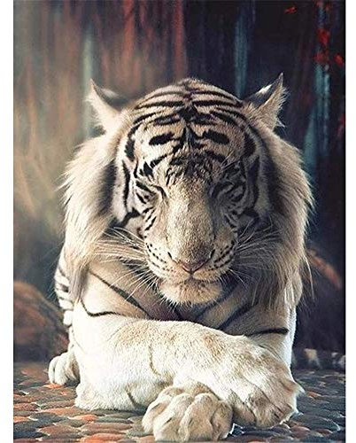 4000 Teile, Impossible Puzzle, Weißer Tiger blinzelt Geschicklichkeitsspiel für die ganze Familie, farbenfrohes Legespiel, Erwachsenenpuzzle ab 14 Jahren, als Ostergeschenk-55.70x34.44 Zoll (141.5 x
