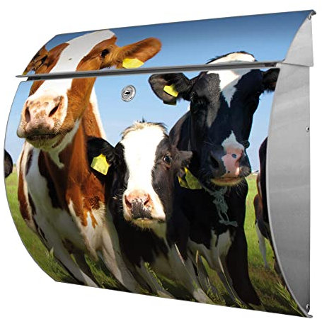 banjado® Burgwächter® Briefkasten Edelstahl mit Motiv Kühe/Briefkasten ohne Zeitungsfach/Edelstahl Briefkasten mit Kippdach & Öffnungsstopp, 2 Schlüssel