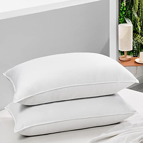 HARBOREST Set di 2 cuscini da letto di dimensioni standard – Luxury Hotel Collection Down Alternative Cuscini per dormire, 50 x 66 cm