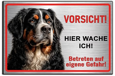 Berner Sennenhund Hundeschild - Warnschild Hund Geschenk für Hundebesitzer Schild für Tür Garten Eingang - Aluverbund Silber Edelstahl Optik (30x20 cm, Spruch: HIER WACHE ICH)