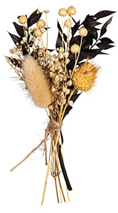 Rayher Trockenblumen-Strauß, schwarz/beige Töne, Mini-Strauß Trockenblumen, Bündel 18 – 20 cm, echte getrocknete Blumen, Trockenblumen Deko, 85491576