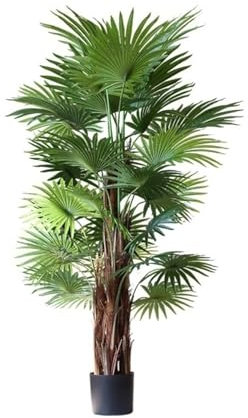 SLOFL Kunstbaum Künstliche Künstlicher Baum, Wohnzimmer, Schlafzimmer, Dekoration, Topf, Simulationspflanze, Fächer, Sonnenblume, Bonsai, künstliche Kunstpflanze Kunstpflanze (Size : 170cm)