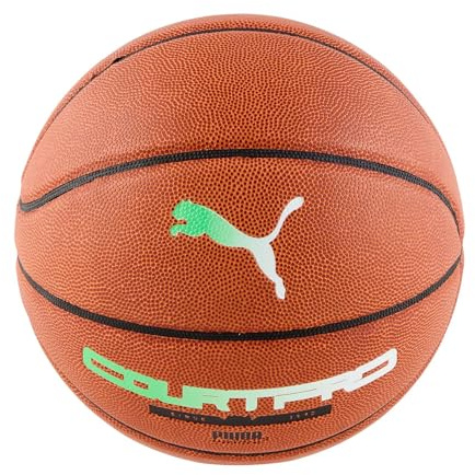 PUMA teamJAWS Court Pro