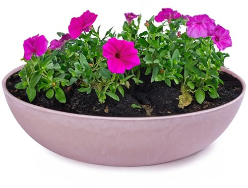 matches21 HOME & HOBBY Jardinière pour l'extérieur en vieux rose marbré, 30 x 9 cm, résistant aux intempéries