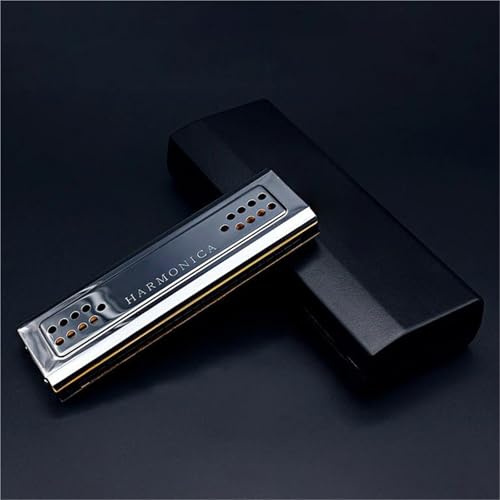Professional Mundharmonika 24-Loch-Blues-Mundharmonika Doppelseitig : C&G-Ton, 2-in-1-Tremolo Bass Mundharmonika Blasmusikinstrument