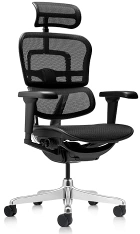 hjh OFFICE Bürostuhl ergonomisch ERGOHUMAN Ultra GEN2 Originales Design, Bürosessel mit Flexibler Lendenwirbelstütze, Netzbespannung, Schwarz
