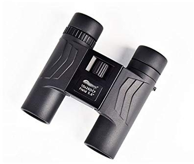 ZJFHEYUO Binocolo Portatile Mini 8X25 Zoom Telescopio da Viaggio con Borsa Binocolo Sportivo per Esterni