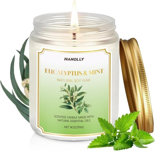 Eukalyptus & Pfefferminz Duftkerze im Glas, Natürliche Sojakerze mit zwei Dochte, 255g große Kerzengeschenke für Frauen, Männer
