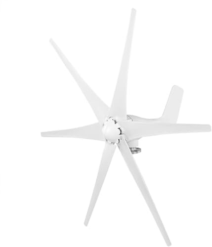 LiebeWH Wind Wind Generator Väderkvarn med 6 blad 12V 800W för hemmet (12V)