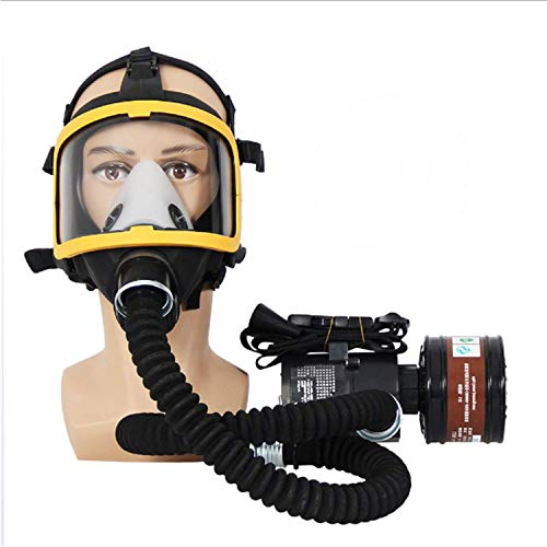 Electric Constant Flow Supplied Air Full Face Respirator with Gas Blower, Breathing Tube, Charger, Filter, and Belt for Organic Vapor and Dust Protection