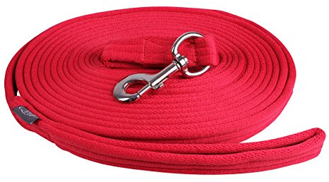 QHP Longierleine Longe – Extra weicher Komfort – 8 m mit praktischer Tasche und großer Schlaufe