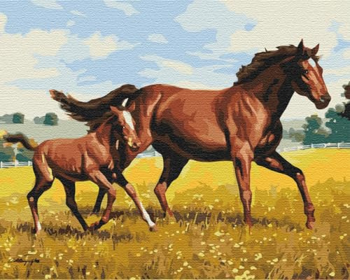 ARTNAPI Malen nach Zahlen Erwachsene mit Rahmen | DIY Handgemalt | Tiere - Familiengalopp | Kit für Anfänger und Erwachsene | Set inklusive Acrylfarben & Pinsel | 40x50cm Leinwand | Ideal als Geschenk