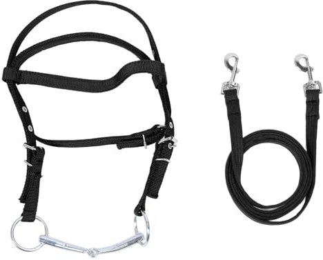 Pferdezügel, Trainingshilfe für Pferde, Zügel, Zaumzeug, Zügel für Pferde, Verstellbare Seile, Bungees, Zügel für Pferde, Zügel aus Nylon, Stilvolles, Verstellbares Zaumzeug