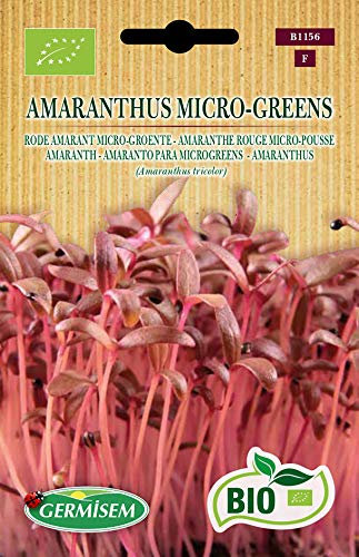 Germisem Biologico Amaranthus Micro-Greens Amaranth Semi 1 g