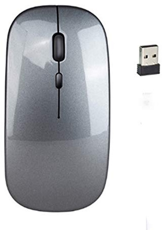Souris sans Fil Rechargeable de Marque BesDirect, Souris silencieuse 2.4G avec récepteur USB, 1600 DPI, Souris de Suivi Optique, Compatible avec PC, Mac, Ordinateur Portable (Gris)