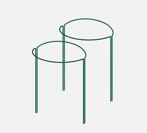 Garden Mile Lot de 3 piquets de support en métal pour plantes de jardin, demi-ronds pour pivoines, hortensias, roses, sedum, légumes et tomates, 30 x 30 cm