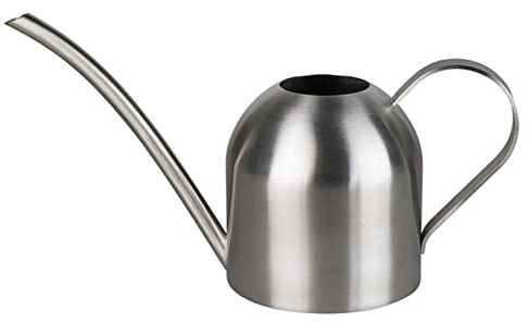 Anawakia Arrosoir moderne pour plantes d'intérieur en acier inoxydable avec bec long - Arrosoir moderne pour plantes (500 ml, argent)