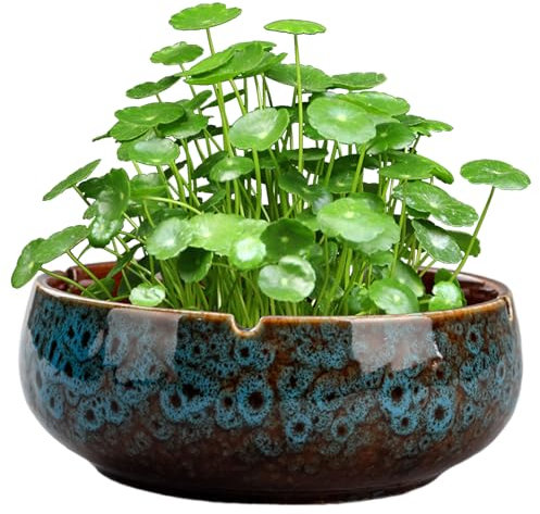 Planteur de Bol de Lotus, Pots Plante en céramique Ronds 6, 5 x 2, 5 Pouces, Bol à Fleurs Lotus décoratifs Vintage, lys à Eau sans Glissement pour Plantes succulentes.