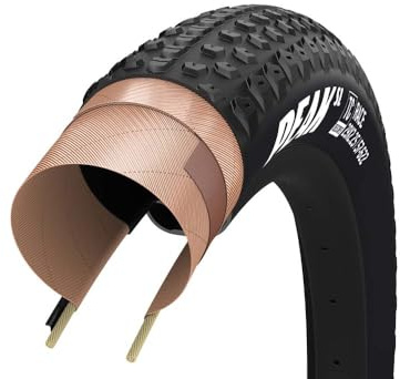 Goodyear Unisex-Adult Bild sl TLR 29x2,40, Schwarz, 61-622